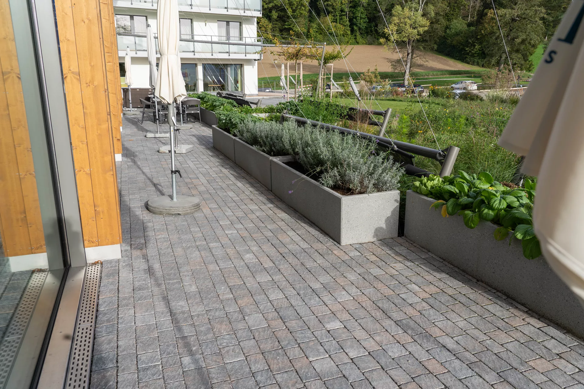 FRIEDA<sup>®</sup> Wildpflaster